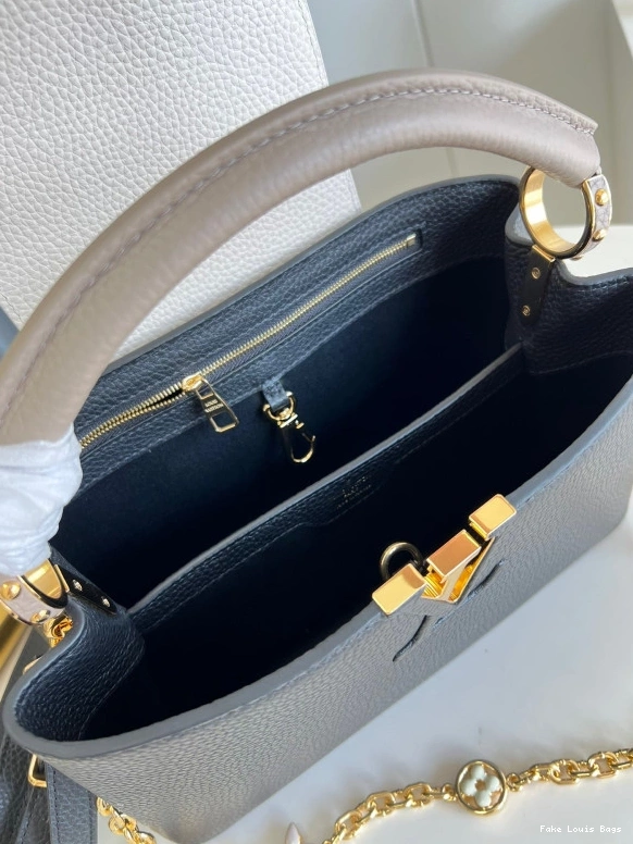 Fake Louis Bags VUITTON CAPUCINES MM LOUIS 0818